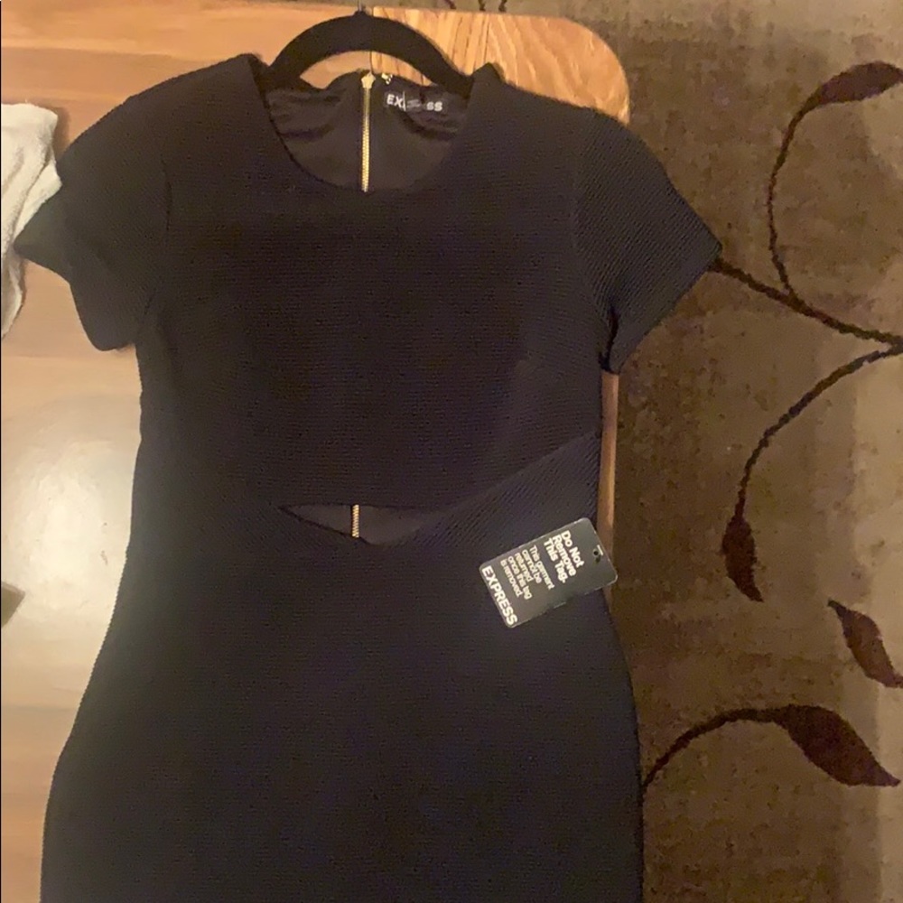 Express Cut Out Dress